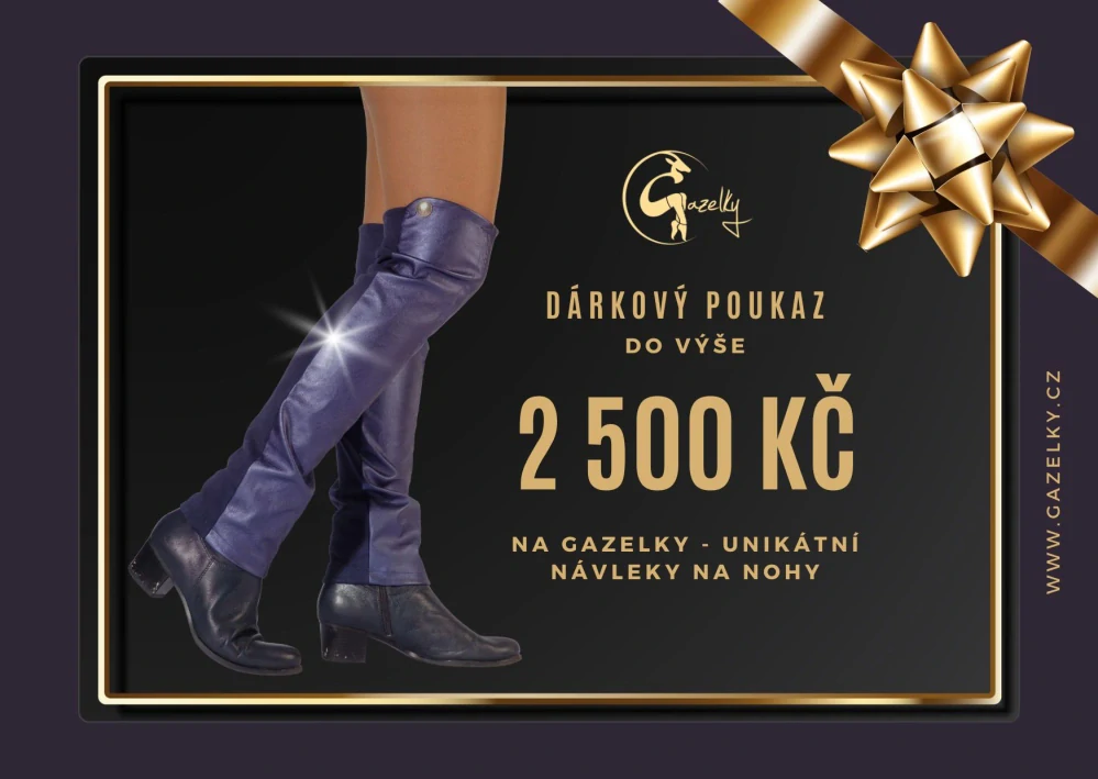 Dárkový poukaz 2 500 Kč